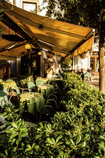 Florence, Province of Florence, Italy. 18.12.2012