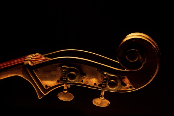Musical instrument, contrabass