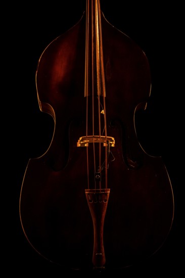 Musical instrument, contrabass