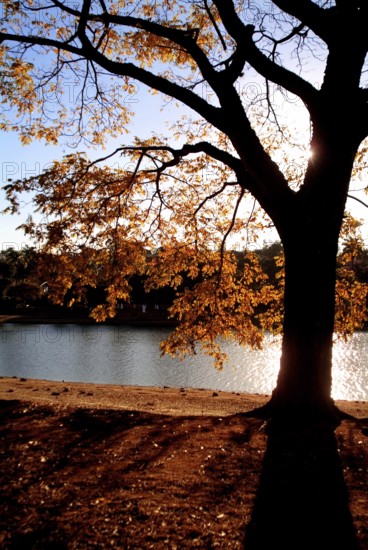 Pampulha Lake, Belo Horizonte, Minas Gerais, Brazil