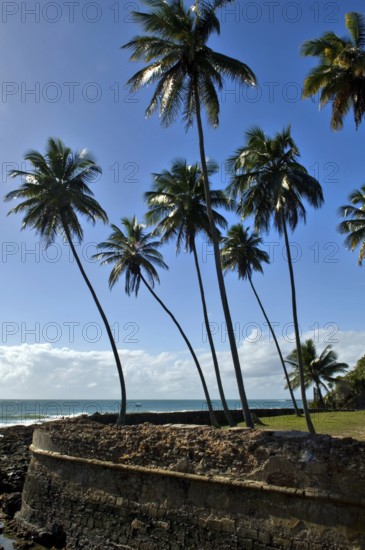 Ruins of Fortress of Tapirandu, Morro de São Paulo, Ilha de Tinharé, Bahia, Brazil
