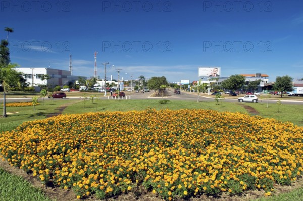 NS-1 Avenue, Palmas, Tocantins, Brazil