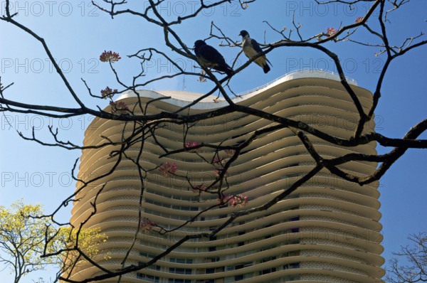 Niemeyer Building, Copanzinho, Liberdade Square, Obra de Osca Niemeyer, Belo Horizonte, Minas Gerais, Brazil