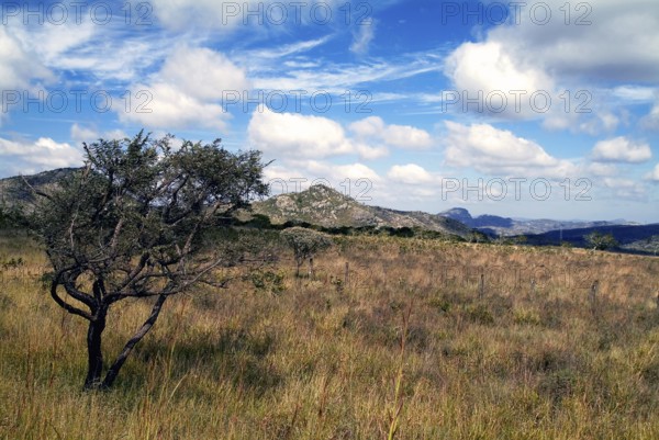 Campo de Altitude, Altiplano, Savana, Cerrado, Diamantina, Minas Gerais, Brazil