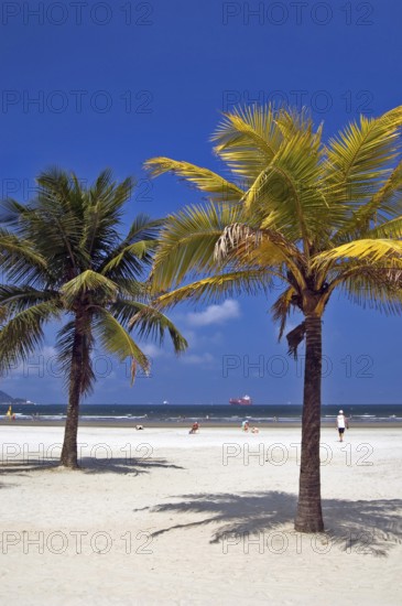 Beach of Boqueirão, Santos, São Paulo, Brazil