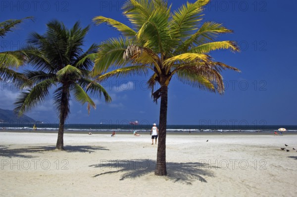 Beach of the Baia do Sancho, Santos, São Paulo, Brazil