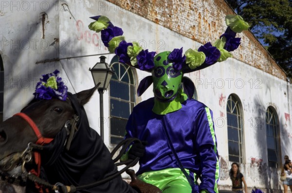 Wearing a costume person, Horse, Cavalhadas, Pirinópolis, Goiás, Brazil