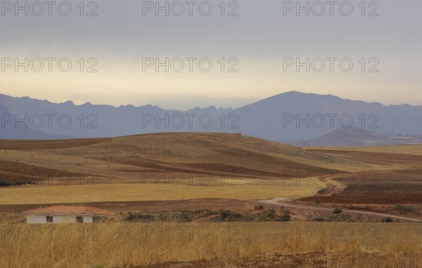 Moray - Valle Sagrado de los Incas - Region de Cusco - Perú ATENÇÃO: NÃO PODEMOS REPRESENTAR ESSA IMAGEM FORA DA AMERICA LATINA