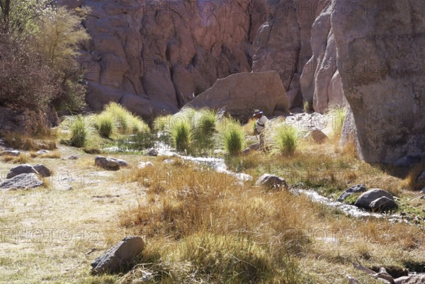 Broken of Jere, Worth of Jere, Poblado Toconao, Atacama Desert, Region of Antofagasta, Santiago, Chile