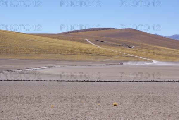 Sector Lagunas Miscanti y Miñiques, Los Flamencos Reserve National, Atacama Desert, Region de Antofagasta, Santiago, Chile