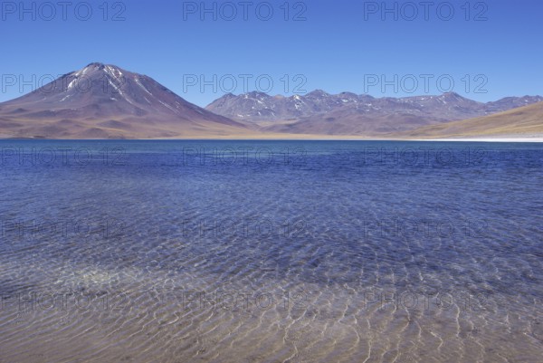 Laguna Miscanti, Los Flamencos Reserve National, Atacama Desert, Region de Antofagasta, Santiago, Chile