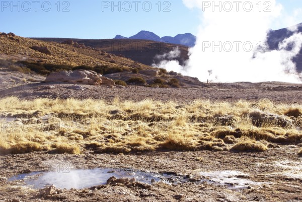 Geysers El Tatio, Atacama Desert, Region of Antofagasta, Santiago, Chile