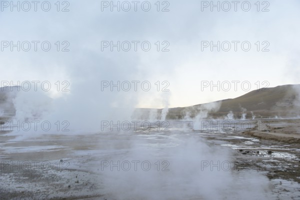 Geysers El Tatio - Deserto do Atacama - Região de Antofagasta - Chile ATENÇÃO: NÃO PODEMOS REPRESENTAR ESSA IMAGEM FORA DA AMERICA LATINA
