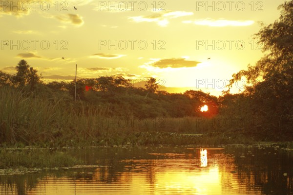 Sunset, Pantanal, Mato Grosso do Sul, Brazil