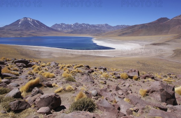 Laguna Miscanti, Los Flamencos Reserve National, Atacama Desert, Region of Antofagasta, Santiago, Chile