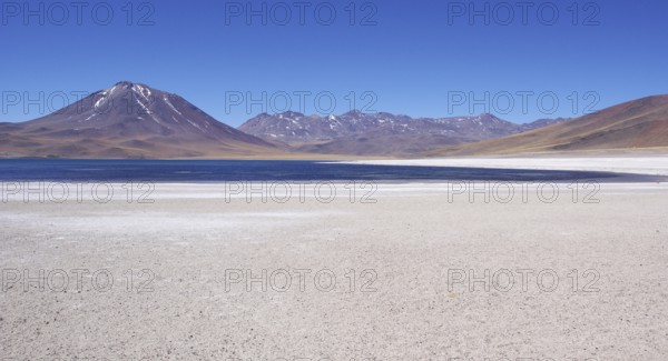Laguna Miscanti, Los Flamencos Reserve National, Atacama Desert, Region de Antofagasta, Santiago, Chile