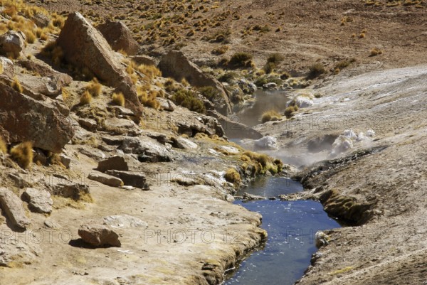 Thermal waters, Atacama Desert, Region of Antofagasta, Santiago, Chile