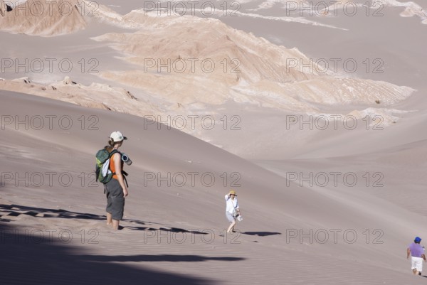 Worth of La Muerte, Los Flamencos Reserve National, Atacama Desert, Region of Antofagasta, Santiago, Chile