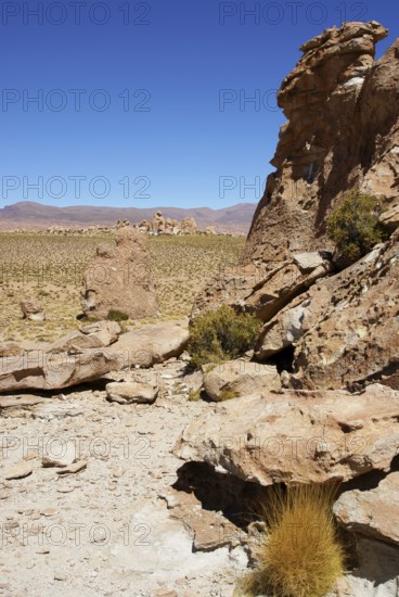 Rock Forest, Desert of Lipez, Department of Potosi, Sud Lipez Province, La Paz, Bolívia