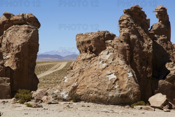 Rock Forest, Desert of Lipez, Department of Potosi, Sud Lipez Province, La Paz, Bolívia
