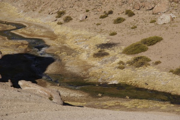 Thermal waters, Atacama Desert, Region of Antofagasta, Santiago, Chile