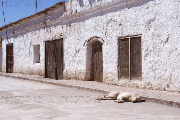 San Pedro de Atacama - Deserto do Atacama - Região de Antofagasta - Chile ATENÇÃO: NÃO PODEMOS REPRESENTAR ESSA IMAGEM FORA DA AMERICA LATINA