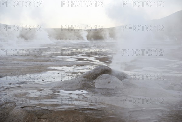 Geysers El Tatio, Atacama Desert, Region of Antofagasta, Santiago, Chile