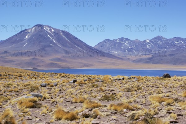 Laguna Miscanti - Reserva Nacional Los Flamencos - Deserto do Atacama - Região de Antofagasta - Chile ATENÇÃO: NÃO PODEMOS REPRESENTAR ESSA IMAGEM FORA DA AMERICA LATINA