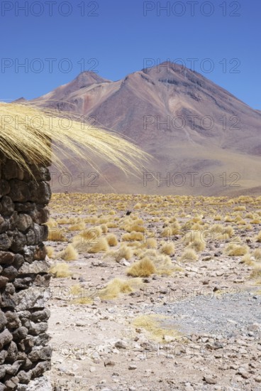 Sector Lagunas Miscanti y Miñiques - Reserva Nacional Los Flamencos - Deserto do Atacama - Região de Antofagasta - Chile ATENÇÃO: NÃO PODEMOS REPRESENTAR ESSA IMAGEM FORA DA AMERICA LATINA