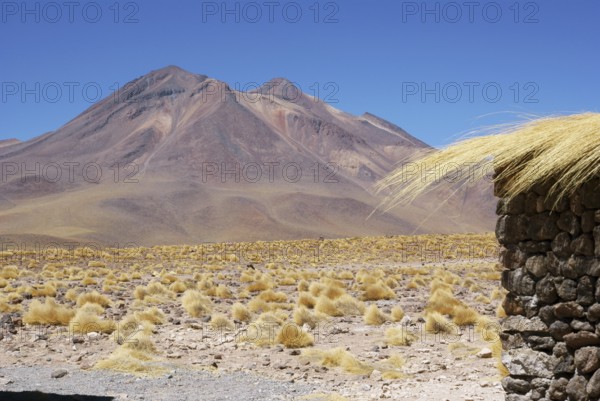 Sector Lagunas Miscanti y Miñiques - Reserva Nacional Los Flamencos - Deserto do Atacama - Região de Antofagasta - Chile ATENÇÃO: NÃO PODEMOS REPRESENTAR ESSA IMAGEM FORA DA AMERICA LATINA