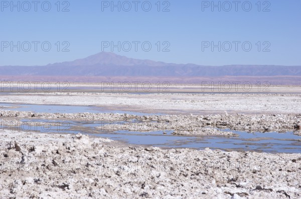 Reserva Nacional Las Flamecos - Salar do Atacama - Deserto do Atacama - Região de Antofagasta - Chile ATENÇÃO: NÃO PODEMOS REPRESENTAR ESSA IMAGEM FORA DA AMERICA LATINA