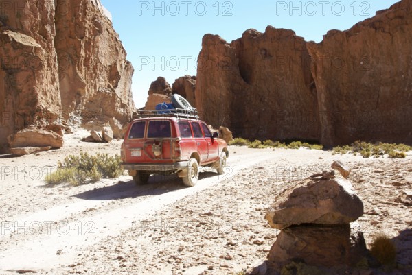 Rock Forest, Desert of Lipez, Department of Potosi, Sud Lipez Province, La Paz, Bolívia