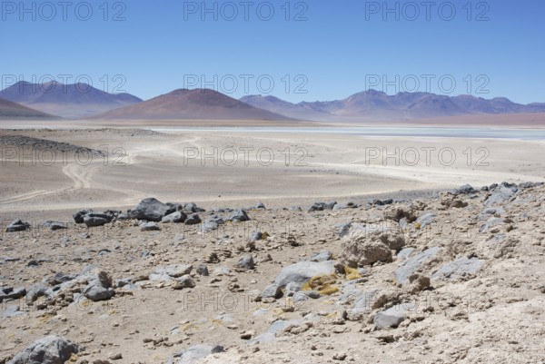 Laguna Blanca, Desert of Lipez, Department of Potosi, Sud Lipez Province, La Paz, Bolívia