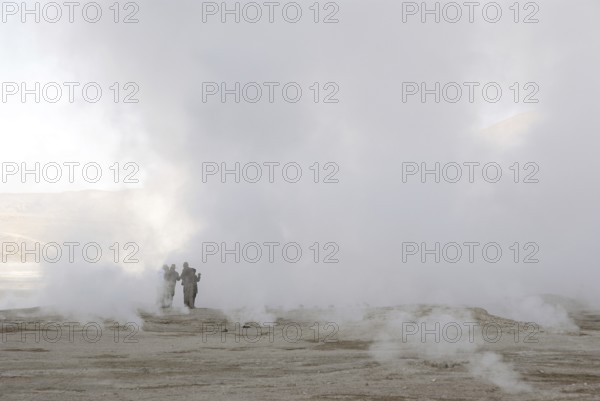 Geysers El Tatio, Atacama Desert, Region of Antofagasta, Santiago, Chile