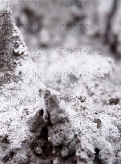 Cordillera de la Sal, Atacama Desert, Region of Antofagasta, Santiago, Chile