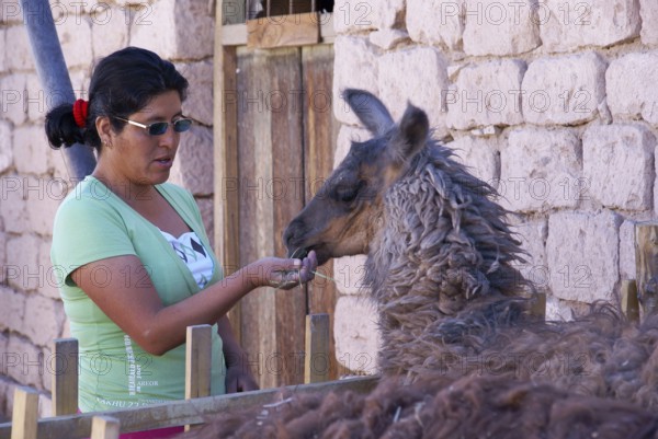 Toconao, Atacama Desert, Region of Antofagasta, Santiago, Chile