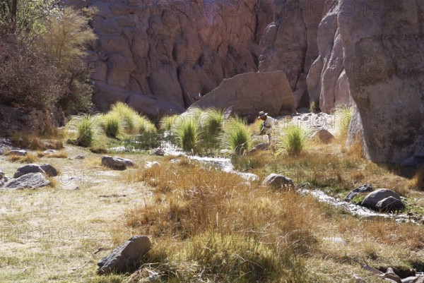 Broken of Jere, Worth of Jere, Poblado Toconao, Atacama Desert, Region of Antofagasta, Santiago, Chile