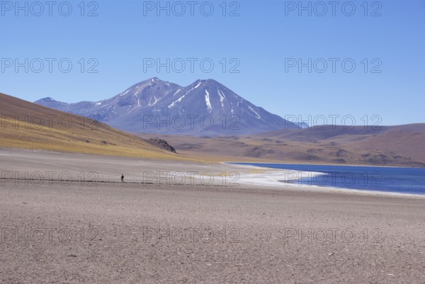 Laguna Miscanti, Los Flamencos Reserve National, Atacama Desert, Region de Antofagasta, Santiago, Chile