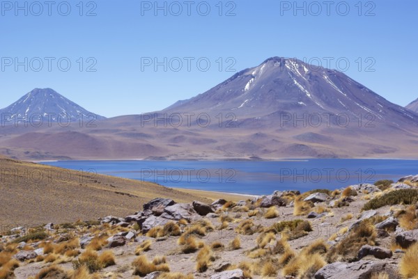 Laguna Miscanti, Los Flamencos Reserve National, Atacama Desert, Region of Antofagasta, Santiago, Chile