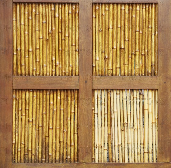 Bamboo, Barra do Una, Peruíbe, São Paulo, Brazil