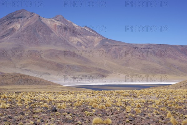 Laguna Miñiques, Los Flamencos Reserve National, Atacama Desert, Region of Antofagasta, Santiago, Chile