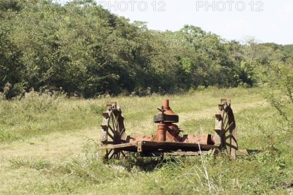 Gear, tool, Pantanal, Mato Grosso do Sul, Brazil