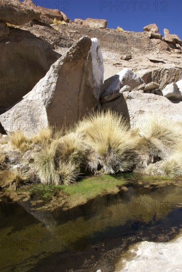 Aguas termales - Deserto do Atacama - Região de Antofagasta - Chile ATENÇÃO: NÃO PODEMOS REPRESENTAR ESSA IMAGEM FORA DA AMERICA LATINA