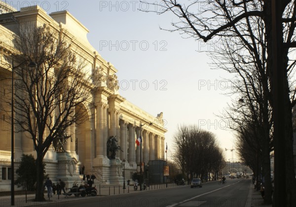 Petit Palais, Winston Churchill Avenue, 8° arrondissement, Ile-de-France, Paris, France