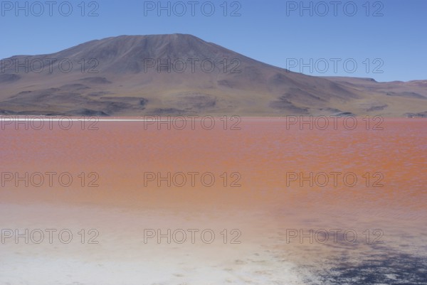 Laguna Colorada, Reserves national of Andean fauna Eduardo Abaroa, Desert of Lipez, Department of Potosi, Sud Lipez Province, La Paz, Bolívia