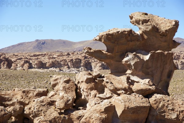 Rock Forest, Desert of Lipez, Department of Potosi, Sud Lipez Province, La Paz, Bolívia