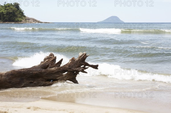 Beach, Trunk, Barra do Una, Peruíbe, São Paulo, Brazil