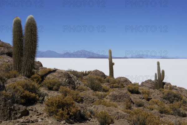 Salar of Uyuni, Desert of Lipez, Department of Potosi, Sud Lipez Province, La Paz, Bolívia