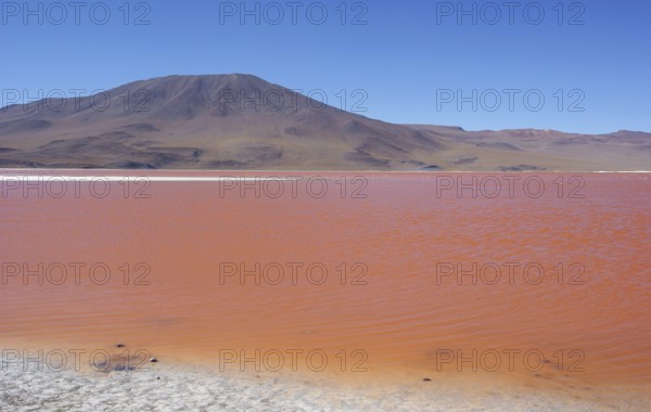 Laguna Colorada, Reserves national of Andean fauna Eduardo Abaroa, Desert of Lipez, Department of Potosi, Sud Lipez Province, La Paz, Bolívia