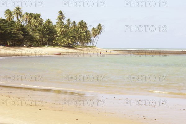 Landscape, Praia do Forte, Bahia, Brazil